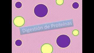 Digestión y absorción [upl. by Etteinotna]