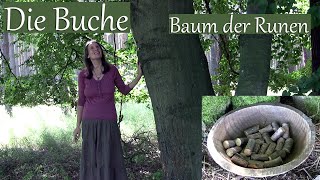 Die Buche der Baum der Runen [upl. by Elroy]