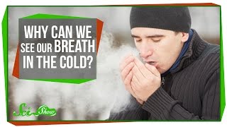 Why Can We See Our Breath In The Cold [upl. by Padraic]