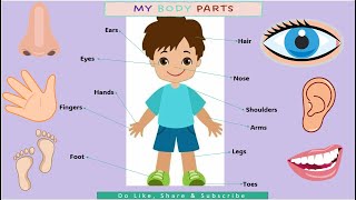 Kids vocabulary  Body  parts of the body  Learn English for kids  English educational video [upl. by Carder121]