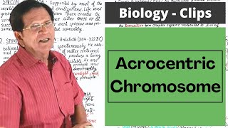 Acrocentric Chromosome  Biology Clips [upl. by Arihay601]