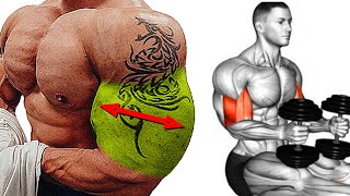 Top 6 Move for Bicep and Tricep Workout to Build Big Arms [upl. by Jezebel]