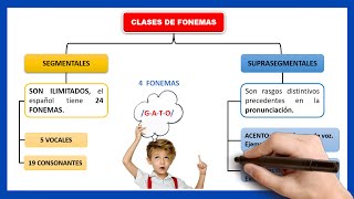 🧠¿QUÉ ES LA FONOLOGÍA  Que es un fonema y clases de fonemas [upl. by Aelgna]