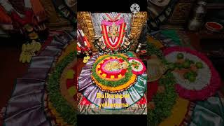 Balkampet yellamma🙏 dharshanam updates subscribe [upl. by Min279]