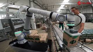 Automatic collaborative robot depalletizer for boxes in beverage industry [upl. by Meade]