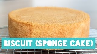 BASIC SPONGE CAKE BISCUIT BODEM  RECIPE [upl. by Resay]