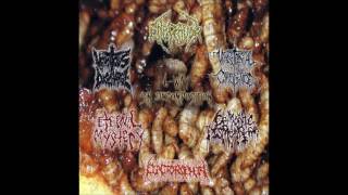 Vomitorial Corpulence  6 way Sin Decomposition [upl. by Kara952]