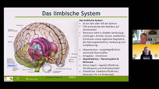 Ätherische Öle aktivieren die Zirbeldrüse amp was Dieter Broers zur Öffnung des Bewusstseins empfiehlt [upl. by Yancey146]