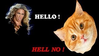 Beyoncé  Hello Cat Version [upl. by Afrikah65]