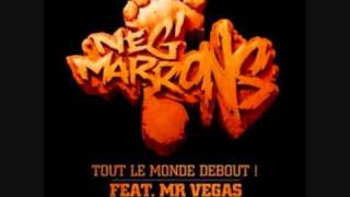 NEG MARRONS  TOUT LE MONDE DEBOUT DJ FLORUM REMIX [upl. by Tharp]