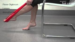 BFAAC Flexor Digitorum Longus Strengthening [upl. by Dnomad]