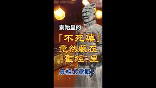 凡事謝恩  秦始皇的「不死藥」竟然藏在《聖經》里？真相太震撼！ 基督徒 基督徒信仰 十字架 神 敬拜詩歌 信仰 感謝主 人生感悟 人生 海外华人 启示录 家庭 人生 婚姻 [upl. by Nwahsyt]