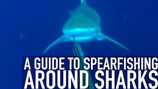 Guide to Spearfishing around Sharks  SNEAK PEAK  TRAILER [upl. by Yditsahc]