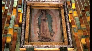 melodia manto virgen de guadalupe 10 horas [upl. by Kiley]