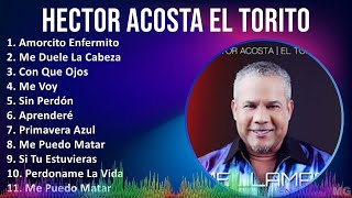 HECTOR ACOSTA EL TORITO 2024 MIX Grandes Exitos  Amorcito Enfermito Me Duele La Cabeza Con Qu [upl. by Atsirc]