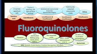 Fluoroquinolones Synopsis [upl. by Arrak]