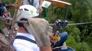 Tsitsikamma Canopy Tour livinglifetothefullest adventure southafrica [upl. by Chisholm]