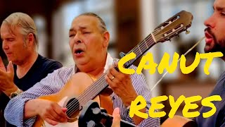 Canut Reyes gipsy kings Chiribi  live [upl. by Atinomar547]