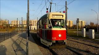 Tramwaje w Częstochowie quotTramwajowymi Zabytkami w Historyczną Podróżquot [upl. by Suchta484]