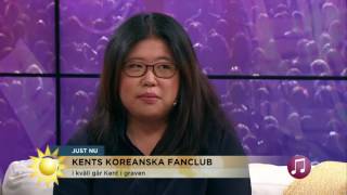 De flög från Sydkorea för att se sina idoler Kent  Nyhetsmorgon TV4 [upl. by Enibas]