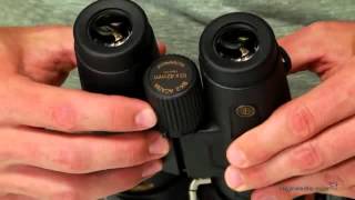 Leupold 10x42mm BX2 Acadia Binoculars  Product Review Video [upl. by Yentrac]