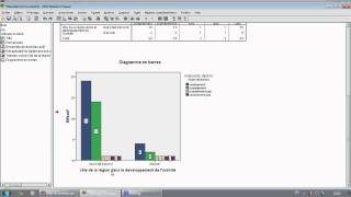 Formation SPSS Tableaux deffectifs et Diagrammes [upl. by Aleuqahs]