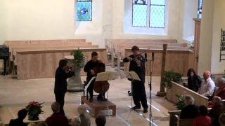 Niziol String Trio plays Beethoven String Trio Serenade Op8 [upl. by Gusti544]