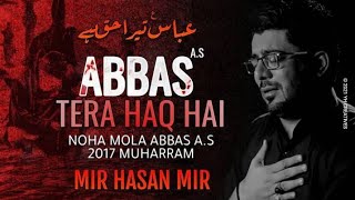 Lyrical Abbasؑ Tera Haq Hai  Mir Hasan Mir  2017  1439 [upl. by Imer]