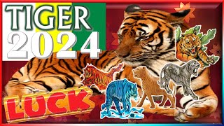 Tiger Horoscope 2024 ❤ Luck  Born 2022 2010 1998 1986 1974 1962 1950 1938 [upl. by Tsirc222]