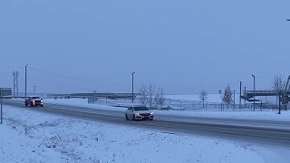 Video Getting a glimpse of spring in Butte Montana [upl. by Ahsehyt]