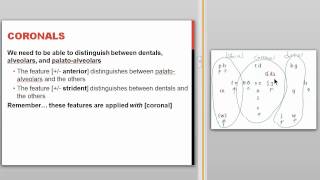 Phonological Features [upl. by Trina]