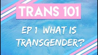 Trans 101 Ep 1  What is Transgender CC [upl. by Phillida496]