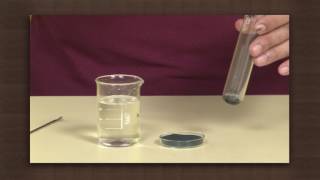 Reaction of Copper Oxide With Hydrochloric Acid [upl. by Quigley]