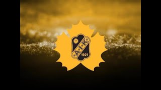 Skellefteå AIK Låtar 🖤💛🖤 [upl. by Rudman81]