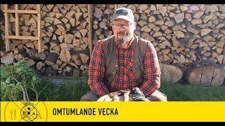 Omtumlande vecka 29 2024 [upl. by Kare]