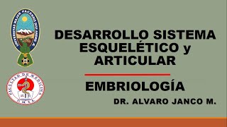 DESARROLLO DEL SISTEMA ESQUELÉTICO Y ARTICULAR EMBRIOLOGÍA Dr Alvaro Janco M [upl. by Adlemy569]