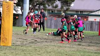 U11 Div 1 Rugby League  Colyton vs St Clair RD5 2023 [upl. by Rosdniw743]