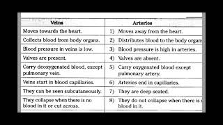 Difference Between Veins amp Arteries Veins Arteries [upl. by Higgins]