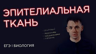 Эпителиальная ткань I ЕГЭ Биология  Даниил Дарвин  Вебиум [upl. by Duff]