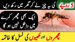 Machar Bhagany ka Tarika  Mosquito Killer Homemade  Machar Marne Ka Tarika  Homemade Remedies [upl. by Ahsial]