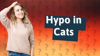 What are the signs of hypo in diabetic cat [upl. by Dnomyaw]