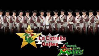 Banda Maguey Usa Inc  Mil Gracias  Audio Oficial [upl. by Carleen]