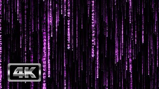 Purple Matrix Code Rain 3D  1 Hour Matrix Theme TV Screensaver and 4K Live Wallpaper [upl. by Love]