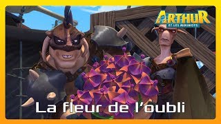 Arthur et les Minimoys  Extrait épisode La fleur de loubli  Dessin animé pour enfant [upl. by Giff]