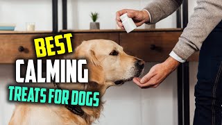 Top 4 Best Calming Treats for Dogs Review in 2022  Calming Treats for DogsCalming Hemp Treats [upl. by Nedyah]