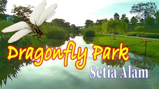 Lets FLY  Setia Alam  Dragonfly Park at Setia Permai [upl. by Eniotna]