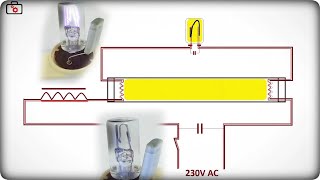 Jak to działa Zapłonnik starter świetlówki liniowej [upl. by Longo236]