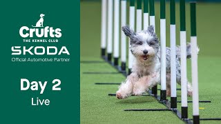 Day 2 LIVE  Crufts 2023 [upl. by Ronoh]