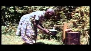 Documentary Wangari Muta Maathai 1940  2011 [upl. by Edin673]