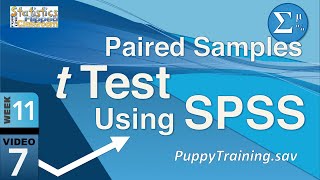 How to do a Paired Samples t Test in SPSS 117 [upl. by Carilyn]